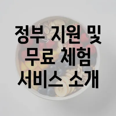 정부 지원 및 무료 체험 서비스 소개