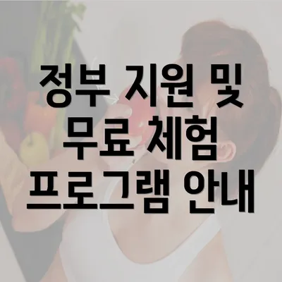 정부 지원 및 무료 체험 프로그램 안내