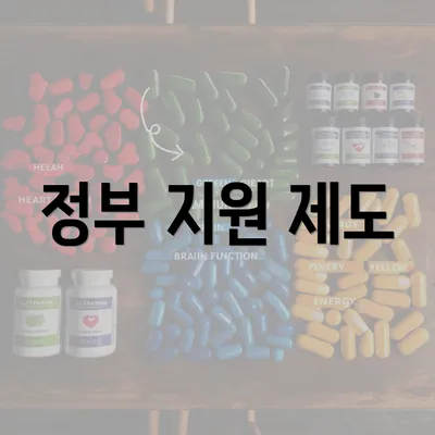 정부 지원 제도