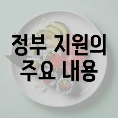 정부 지원의 주요 내용