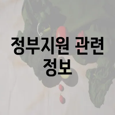 정부지원 관련 정보