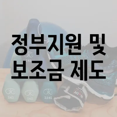 정부지원 및 보조금 제도