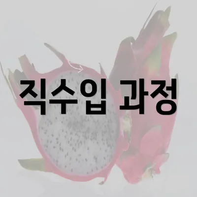 직수입 과정