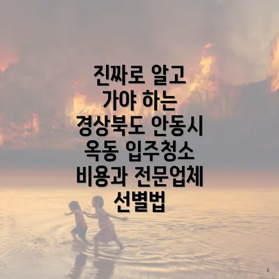 진짜로 알고 가야 하는 경상북도 안동시 옥동 입주청소 비용과 전문업체 선별법