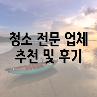 청소 전문 업체 추천 및 후기