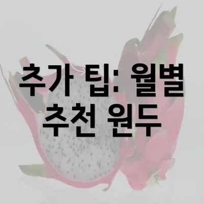 추가 팁: 월별 추천 원두