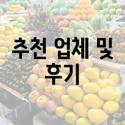 추천 업체 및 후기