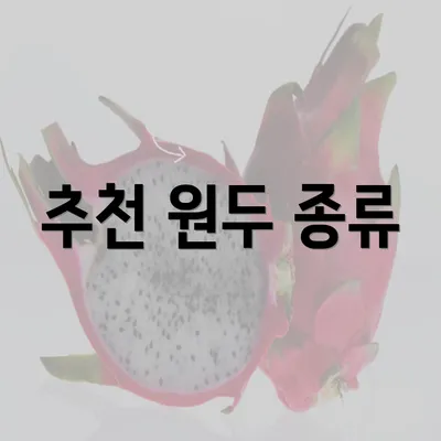 추천 원두 종류