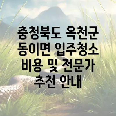 충청북도 옥천군 동이면 입주청소 비용 및 전문가 추천 안내