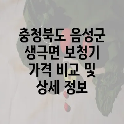 충청북도 음성군 생극면 보청기 가격 비교 및 상세 정보