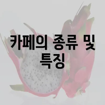 카페의 종류 및 특징