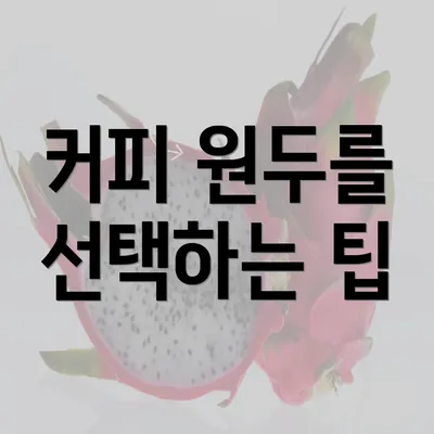 커피 원두를 선택하는 팁