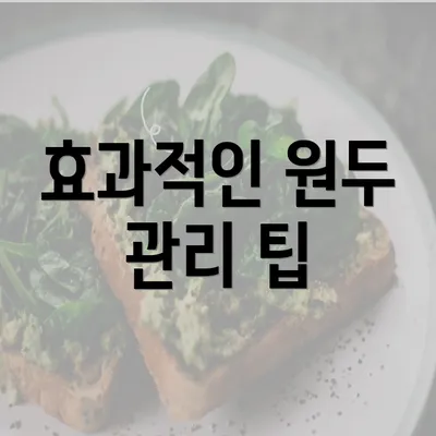 효과적인 원두 관리 팁