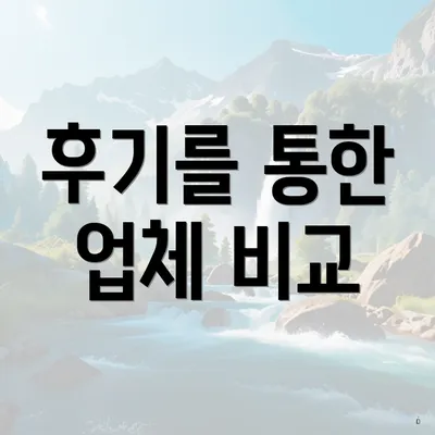 후기를 통한 업체 비교