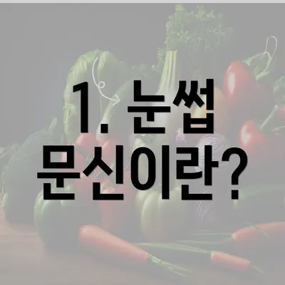 1. 눈썹 문신이란?