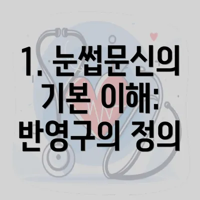 1. 눈썹문신의 기본 이해: 반영구의 정의