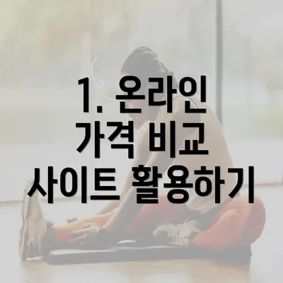 1. 온라인 가격 비교 사이트 활용하기