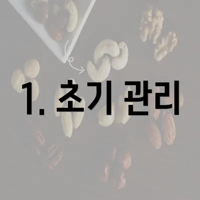 1. 초기 관리