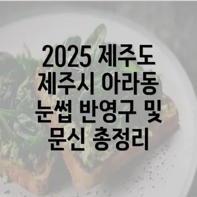 2025 제주도 제주시 아라동 눈썹 반영구 및 문신 총정리