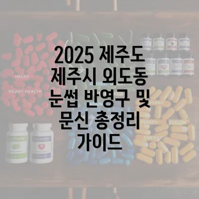 2025 제주도 제주시 외도동 눈썹 반영구 및 문신 총정리 가이드