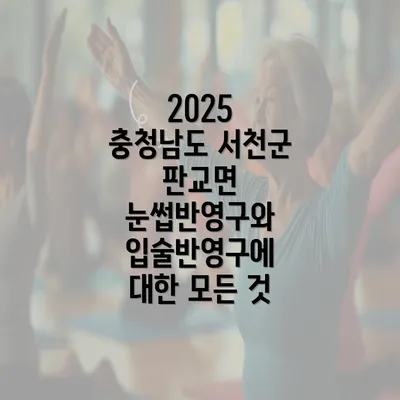 2025 충청남도 서천군 판교면 눈썹반영구와 입술반영구에 대한 모든 것