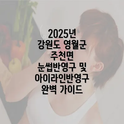 2025년 강원도 영월군 주천면 눈썹반영구 및 아이라인반영구 완벽 가이드