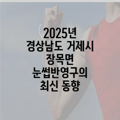 2025년 경상남도 거제시 장목면 눈썹반영구의 최신 동향