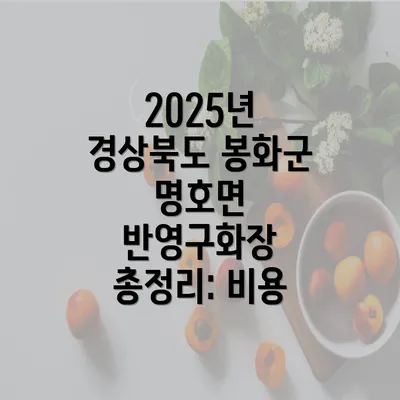 2025년 경상북도 봉화군 명호면 반영구화장 총정리: 비용