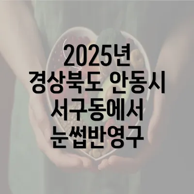 2025년 경상북도 안동시 서구동에서 눈썹반영구