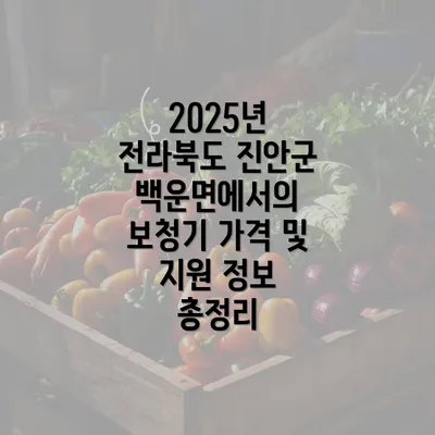 2025년 전라북도 진안군 백운면에서의 보청기 가격 및 지원 정보 총정리