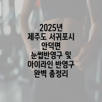 2025년 제주도 서귀포시 안덕면 눈썹반영구 및 아이라인 반영구 완벽 총정리