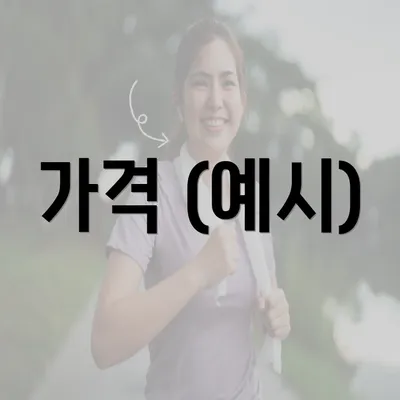 가격 (예시)