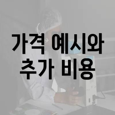 가격 예시와 추가 비용