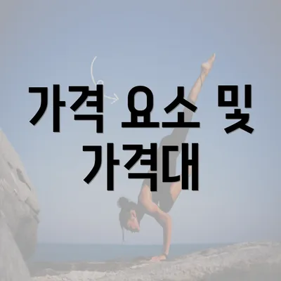 가격 요소 및 가격대