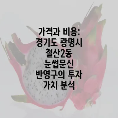 가격과 비용: 경기도 광명시 철산2동 눈썹문신 반영구의 투자 가치 분석