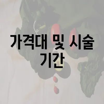 가격대 및 시술 기간