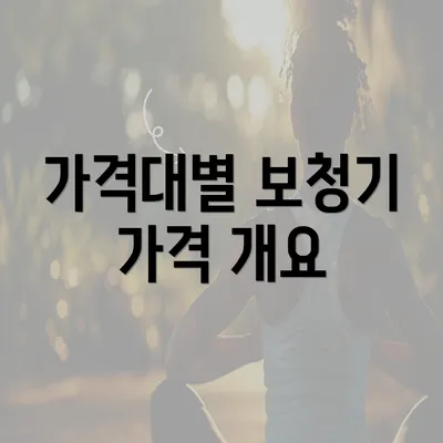 가격대별 보청기 가격 개요