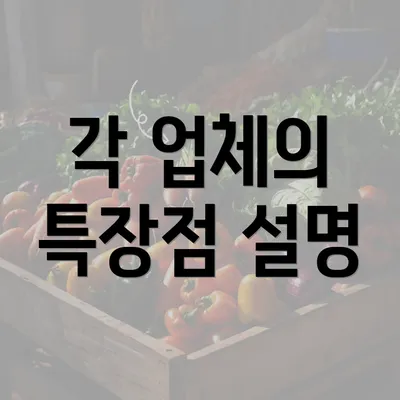 각 업체의 특장점 설명