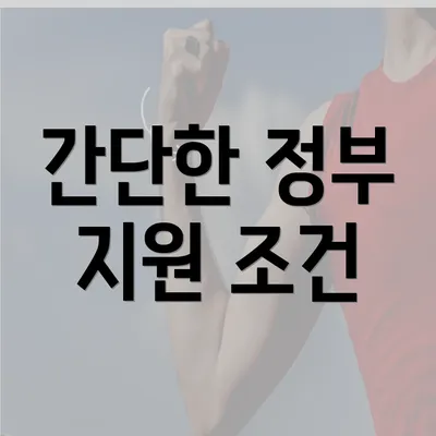 간단한 정부 지원 조건