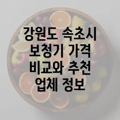 강원도 속초시 보청기 가격 비교와 추천 업체 정보