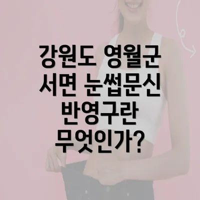 강원도 영월군 서면 눈썹문신 반영구란 무엇인가?