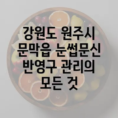 강원도 원주시 문막읍 눈썹문신 반영구 관리의 모든 것