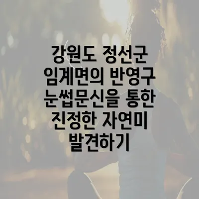 강원도 정선군 임계면의 반영구 눈썹문신을 통한 진정한 자연미 발견하기