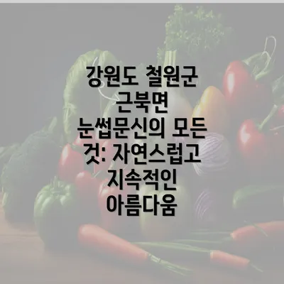 강원도 철원군 근북면 눈썹문신의 모든 것: 자연스럽고 지속적인 아름다움