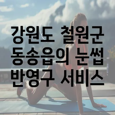 강원도 철원군 동송읍의 눈썹 반영구 서비스