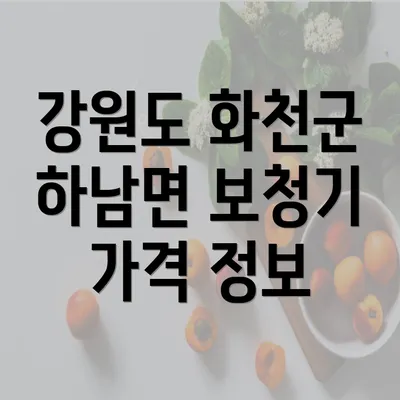 강원도 화천군 하남면 보청기 가격 정보