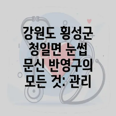 강원도 횡성군 청일면 눈썹 문신 반영구의 모든 것: 관리