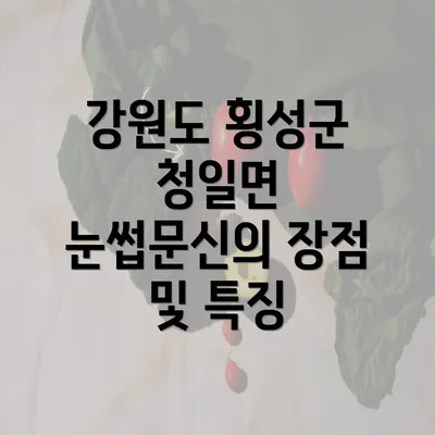 강원도 횡성군 청일면 눈썹문신의 장점 및 특징