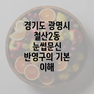 경기도 광명시 철산2동 눈썹문신의 관리 방법과 주의사항