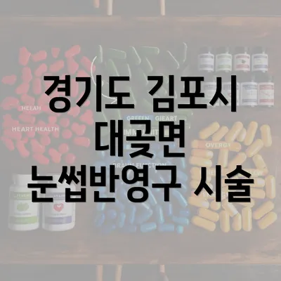 경기도 김포시 대곶면 눈썹반영구 시술